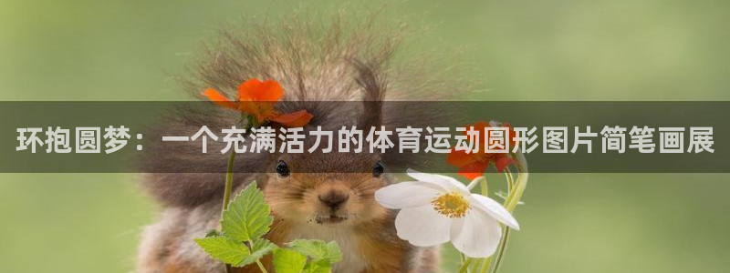 雷速app怎么看不了指数：环抱圆梦：一个充满活力的体育运动圆形图片简笔画展