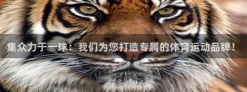 雷速没有指数怎么恢复：集众力于一球：我们为您打造专属的体育运动品牌！