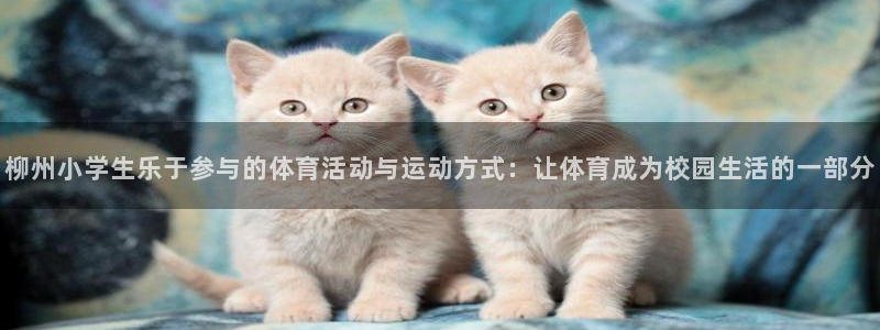 雷速体育官方网站：柳州小学生乐于参与的体育活动与运动方式：让体育成为校园生活的一部分