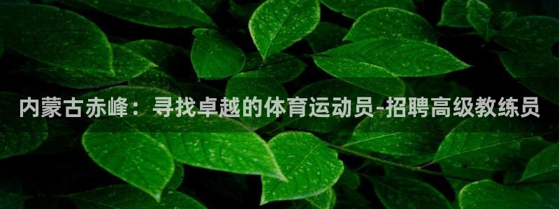 雷速体育即时比分：内蒙古赤峰：寻找卓越的体育运动员-招聘高级教练员