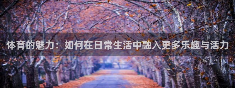 雷速网球：体育的魅力：如何在日常生活中融入更多乐趣与活力