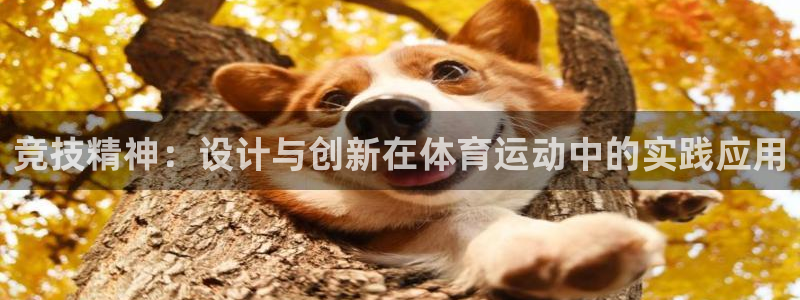 雷速小程序：竞技精神：设计与创新在体育运动中的实践应用