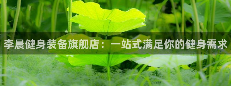雷速登闪电冲线第三部：李晨健身装备旗舰店：一站式满足你的健身需求