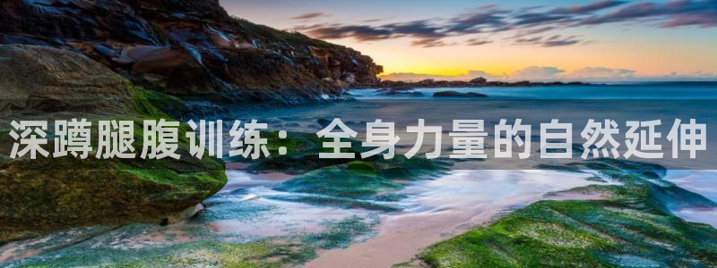 雷速和光速哪个快：深蹲腿腹训练：全身力量的自然延伸